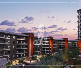 زهرة الأكاديا  IMT - 1615