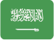 عربستان سعودی